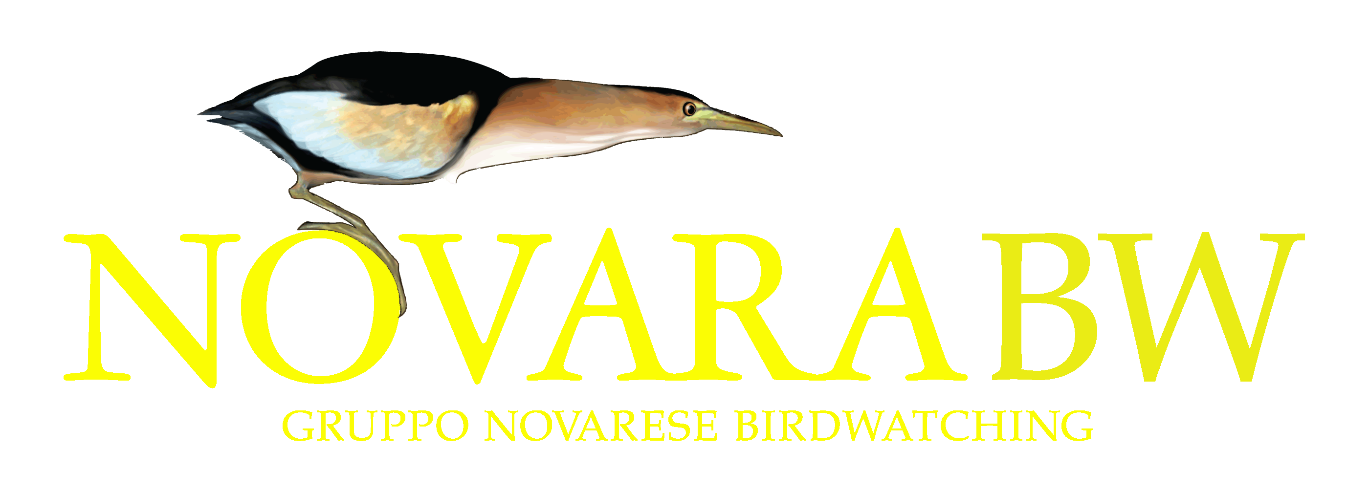 Novara BirdWatching